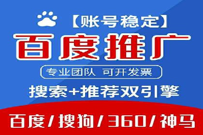 某知名企业SEM营销全案解析